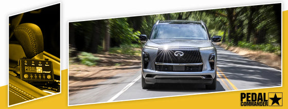 PC79 / Infiniti / QX80 / Z62 Facelift (2018-2024) / (5.6L)