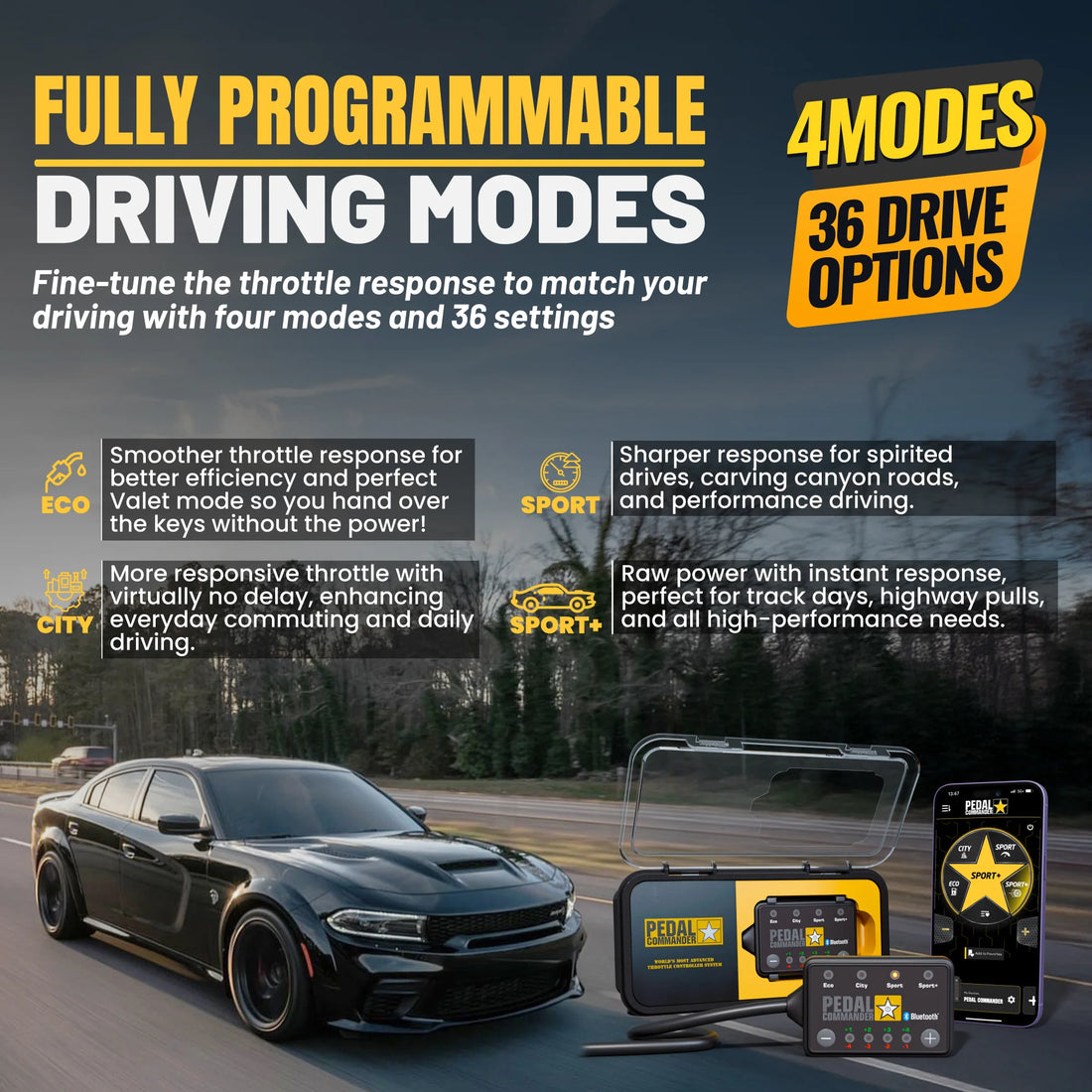 gallery-modes-Dodge-Charger
