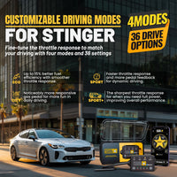 gallery-modes-stinger
