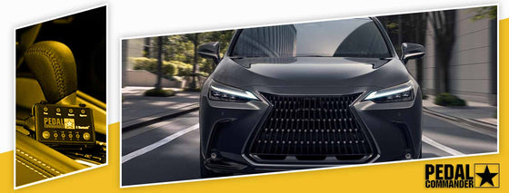 PC55 / Lexus / NX / 2nd Gen (2022+) / (2.4L - 2.5L - 2.5L hybrid - 2.5L plug in hybrid)
