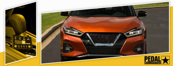 PC15 / Nissan / Maxima / A36 (2016-2024) / (3.5L VQ35 V6)